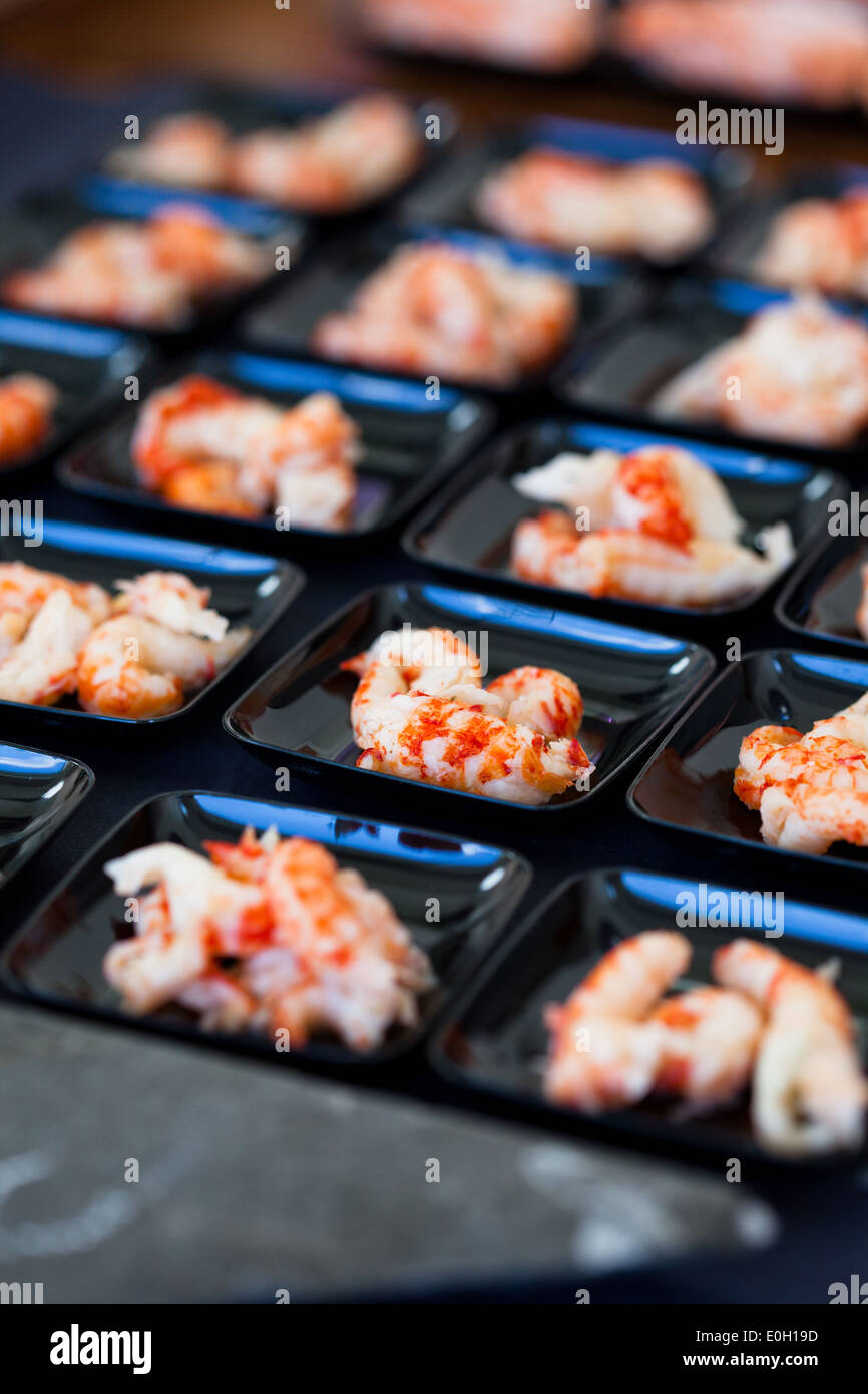 Nahaufnahme von Shrimps Vorspeisen auf kleinen Tabletts in Reihen Stockfoto