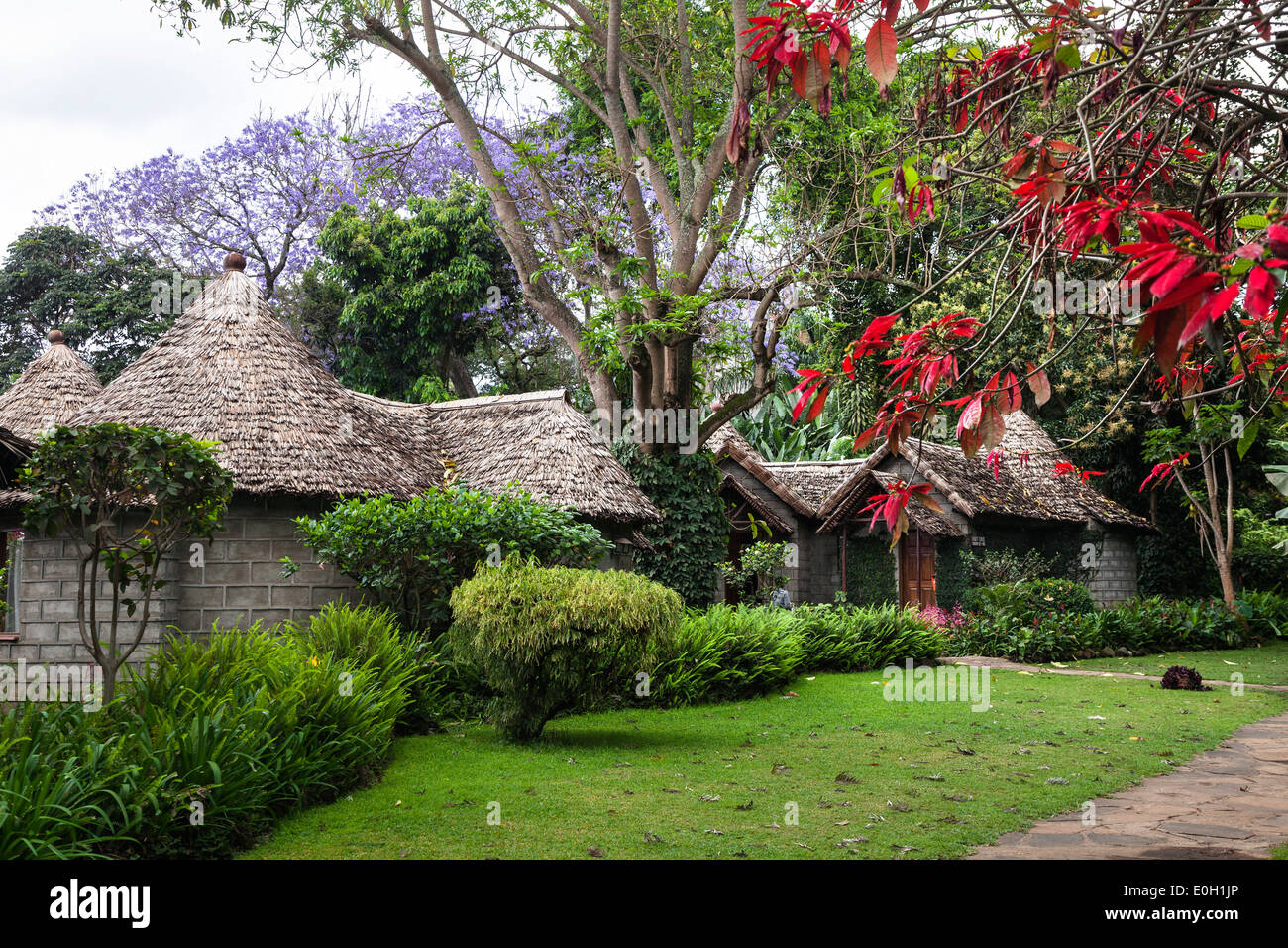 Mountain Village Hotel, Arusha, Tansania, Ostafrika, Afrika Stockfoto