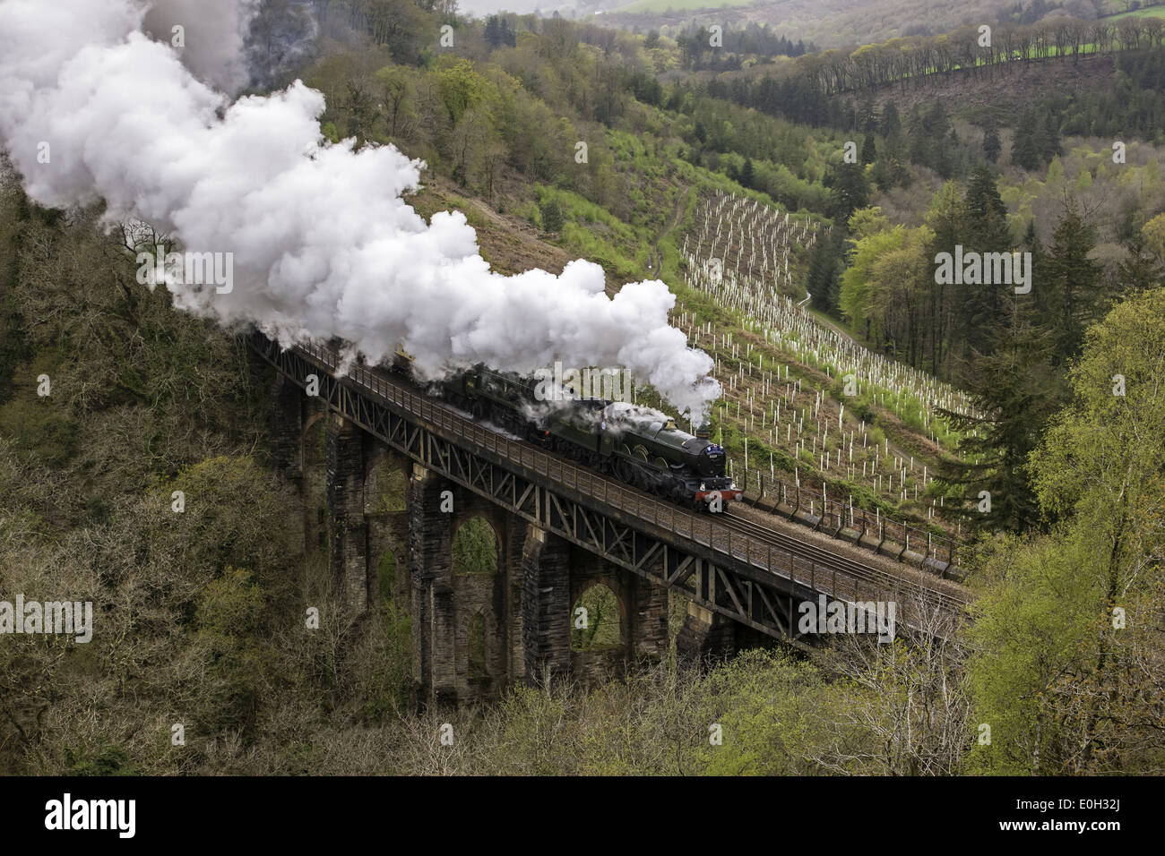 Die Great Britain IV Tour dämpfen über Largin Viadukt, Cornwall Stockfoto