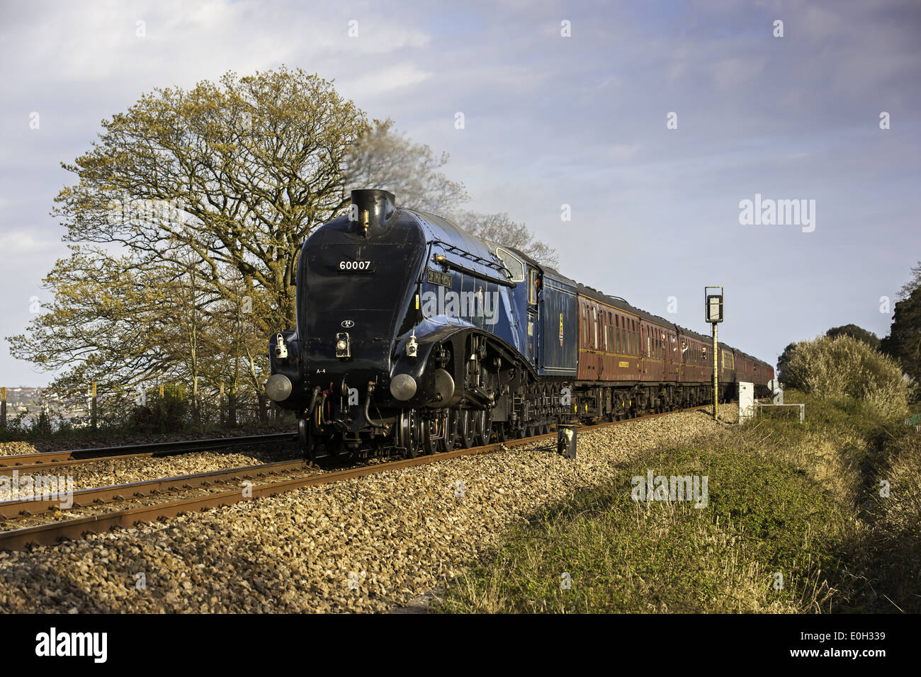 Die Dartmouth Express Dämpfen durch erstritt Stockfoto