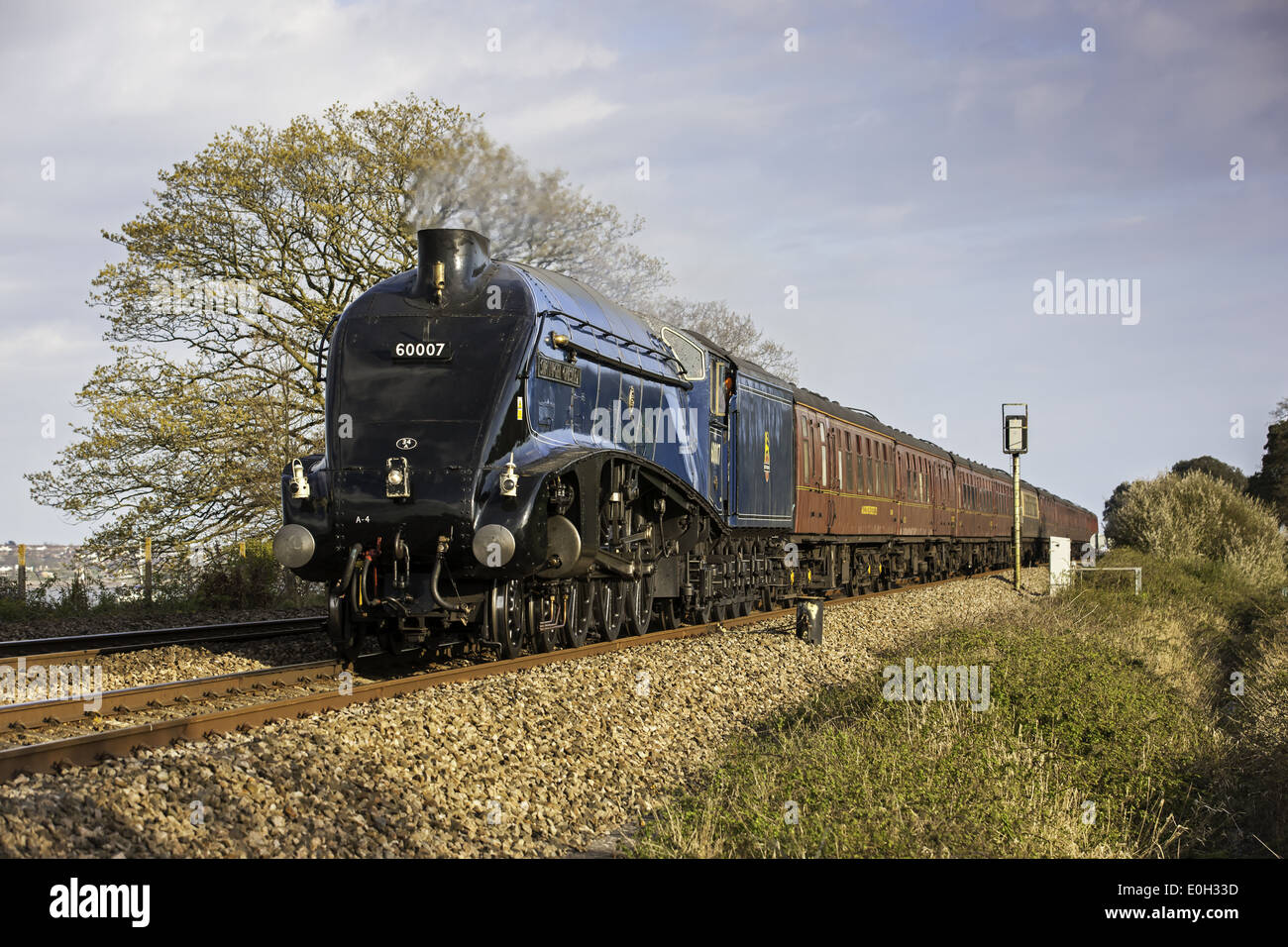 Die Dartmouth Express Dämpfen durch erstritt Stockfoto