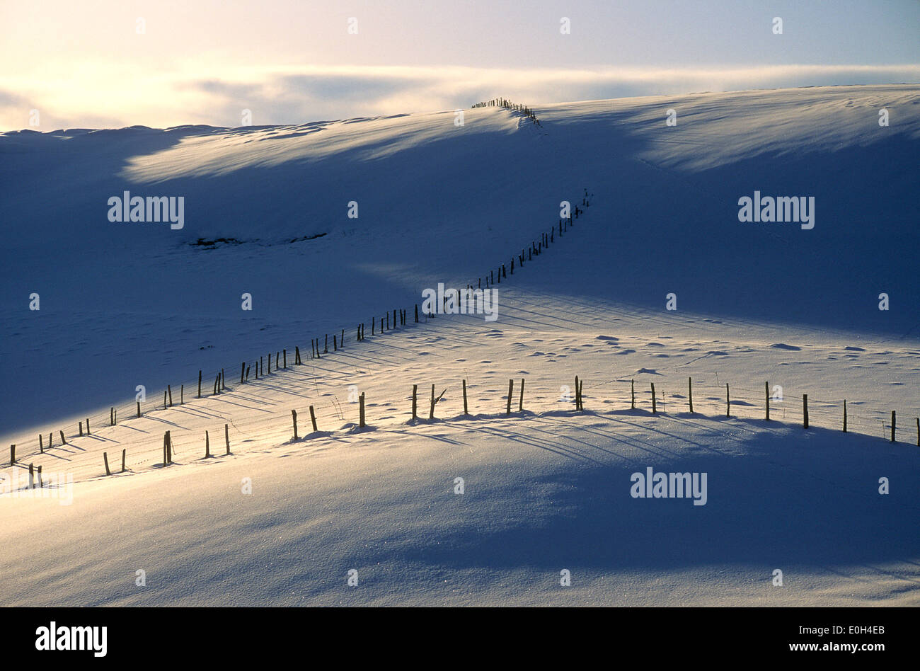 Winterlandschaft mit Schnee Stockfoto