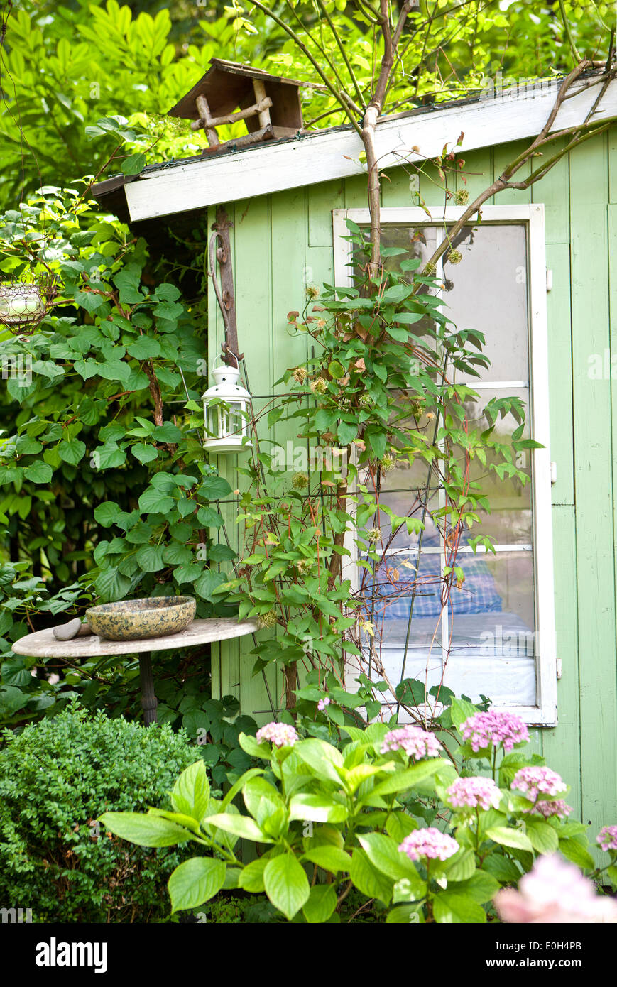 Sommerhaus mit Vogelhaus und Pflanzen vor dem Fenster, Wien, Österreich  Stockfotografie - Alamy