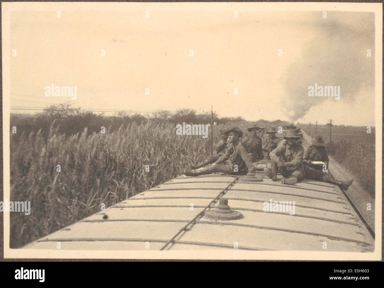 Hohe Bullrushes [umliegender Zug wie gesehen] von oben auf den Zugwaggons, [wo einige Soldaten des 8. Leichten Pferdes-Regiments während der Reise von Suez nach Kairo, 4. April 1915 reisten] Stockfoto