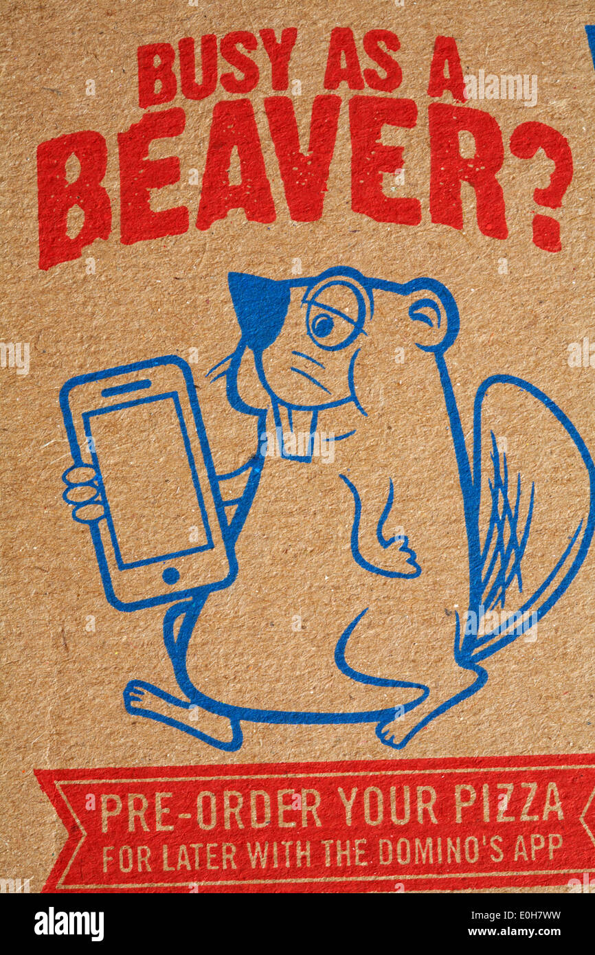 Beschäftigt, wie ein Biber Ihre Pizza für später mit dem Domino app - Informationen über Domino Pizza-Box vorbestellen Stockfoto