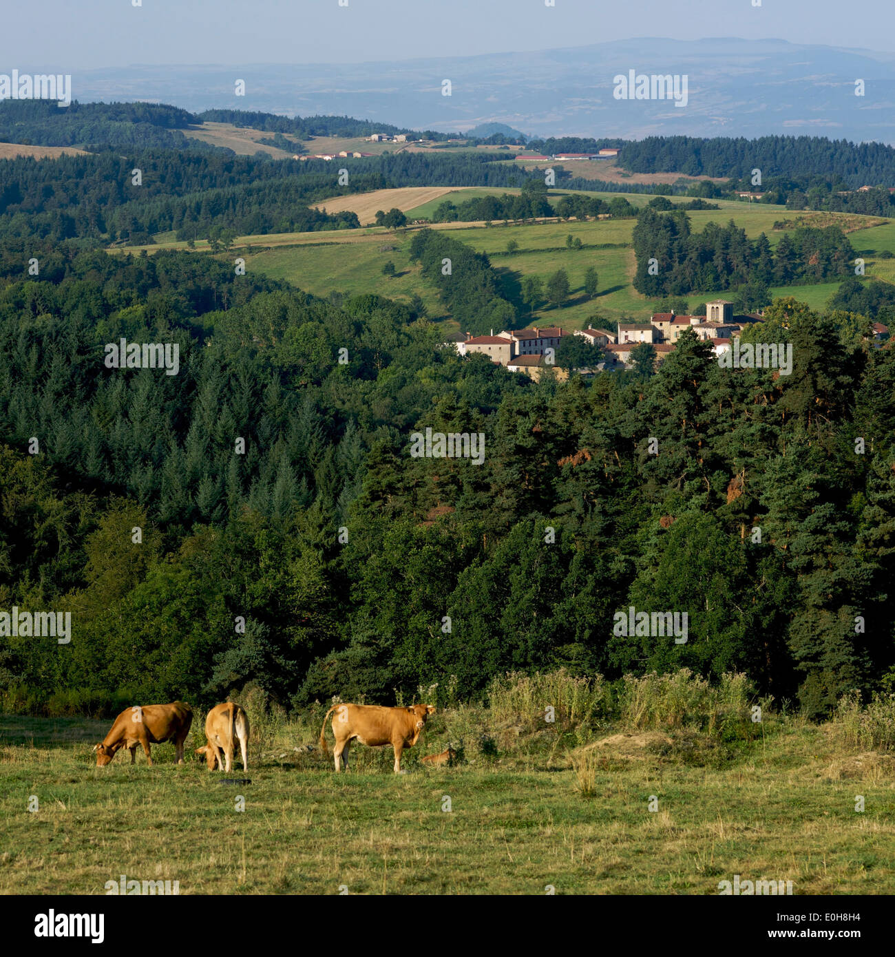 Dorf von Brousse in einem Tal, Livradois Forez, Auvergne, Frankreich Stockfoto