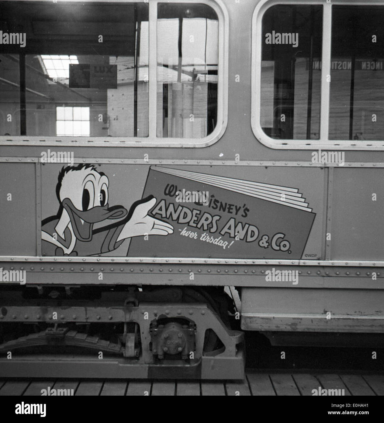 1960 Werbung für Donald Duck (anders and) in einer Straßenbahn in Kopenhagen. Dieses historische Bild zeigt ein Werbeplakat für die beliebte Zeichentrickfigur, das die Popularität der Disney-Figuren in Dänemark Mitte des 20. Jahrhunderts widerspiegelt. Stockfoto