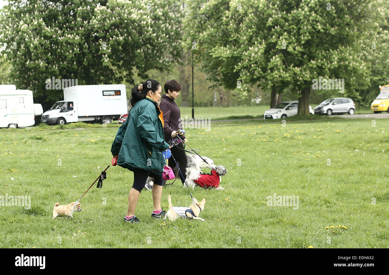 Zwei Frauen gehen kleine Hunde im Park in Bristol, England, UK, April 2014 Stockfoto