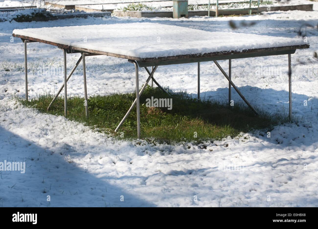 Outdoor-Tischtennisplatte fallenden Schnee mit grünen Rasen unter ihm Stockfoto