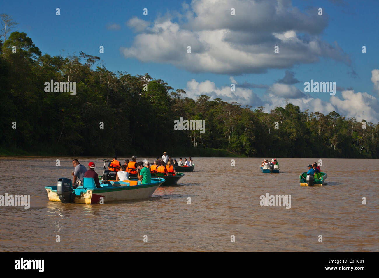 Touristen sehen BORNEAN Pygmäen Elefanten in KINABATANGAN RIVER WILDLIFE SANCTUARY - BORNEO Stockfoto