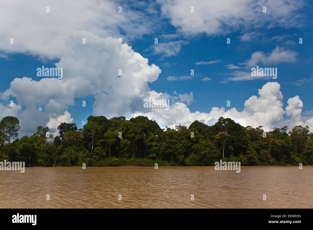 KINABATANGAN RIVER WILDLIFE SANCTUARY ist Heimat für viele Tierarten - SABAH BORNEO Stockfoto