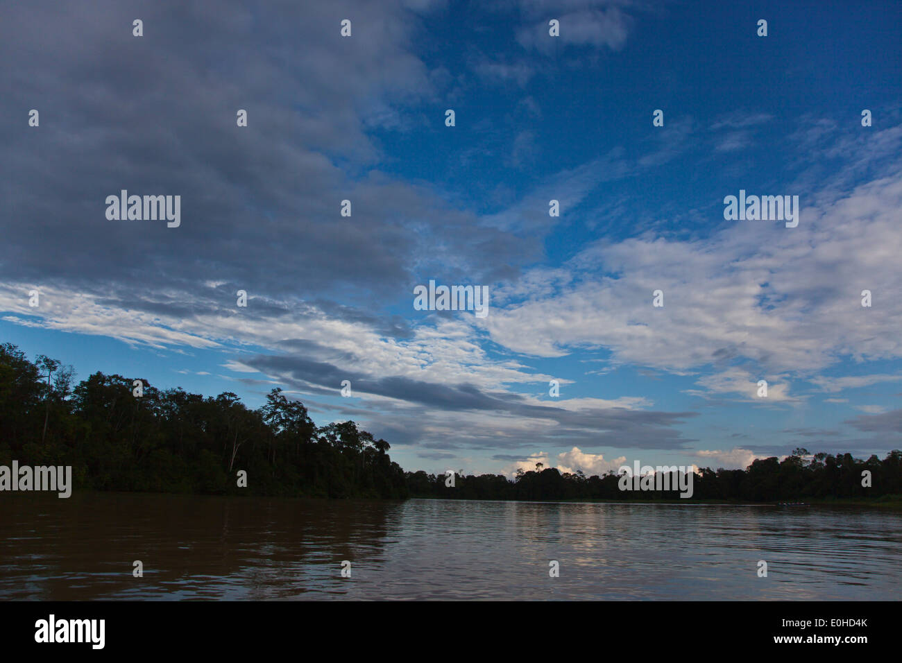 KINABATANGAN RIVER WILDLIFE SANCTUARY ist Heimat für viele Tierarten - SABAH BORNEO Stockfoto