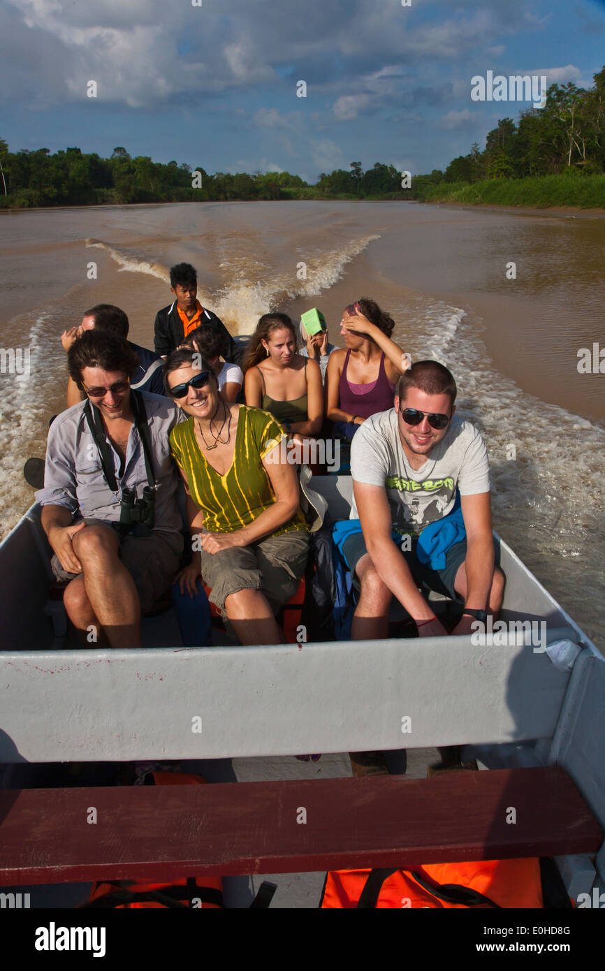 Touristen genießen Sie Safari mit dem Boot in der KINABATANGAN RIVER WILDLIFE SANCTUARY - SABAH, BORNEO Stockfoto
