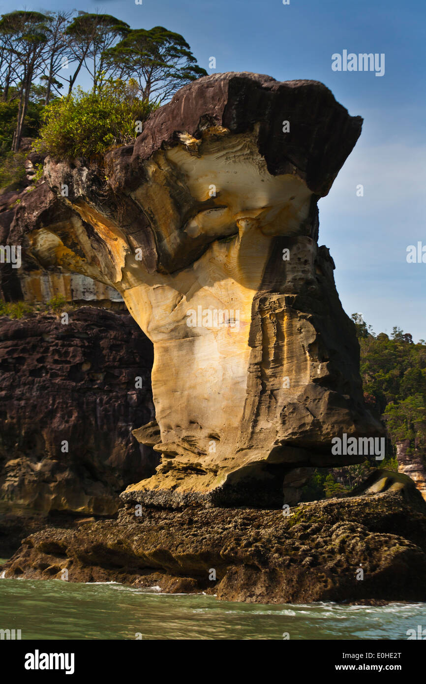 SEASTACKS entlang der Küste im BAKO Nationalpark befindet sich in SARAWAK - BORNEO, MALAYSIA Stockfoto