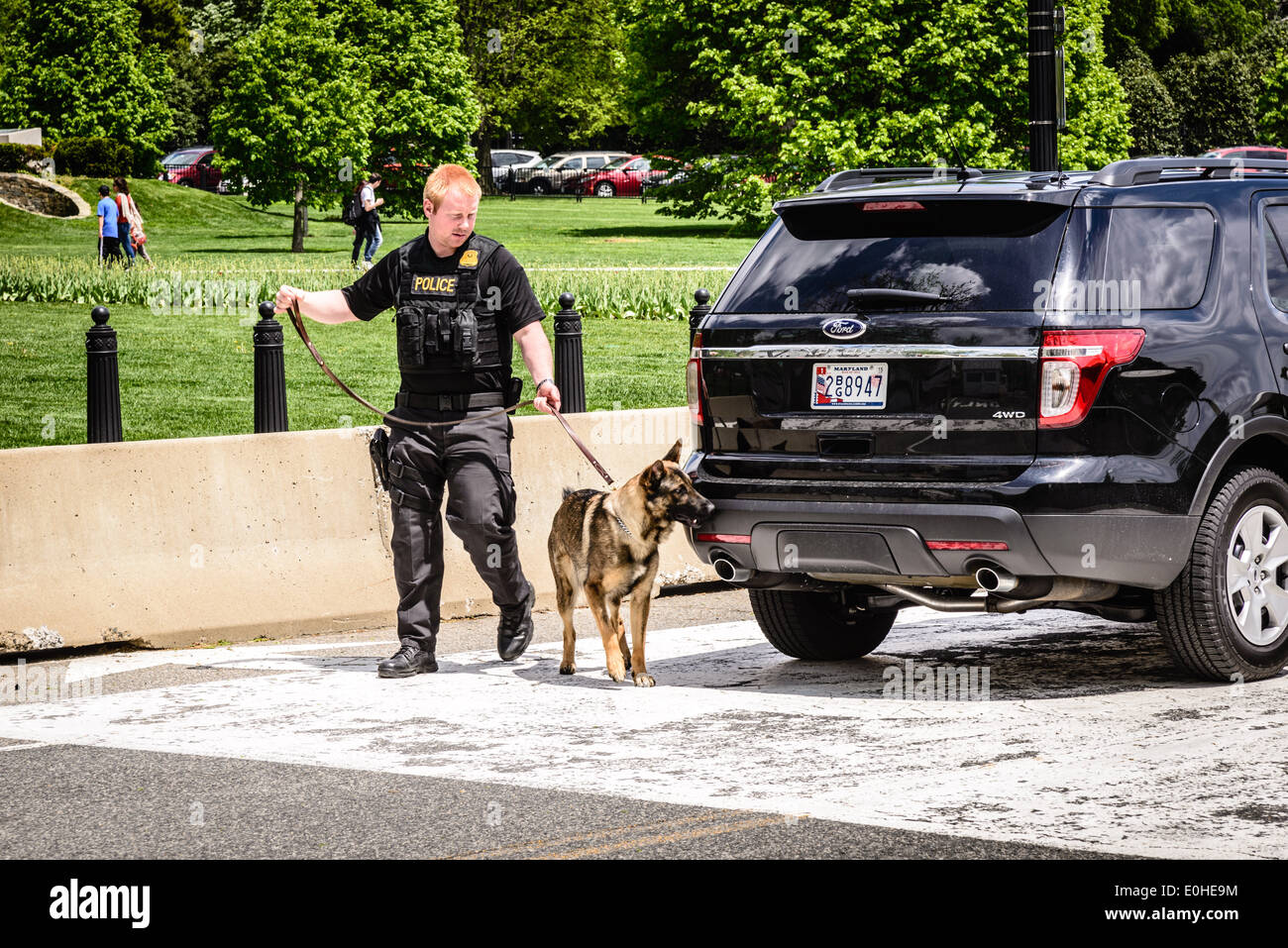 Geheimdienst-k-9 Unit, E Street NW Zugang zum Sicherheitsbereich White House, Washington, DC Stockfoto