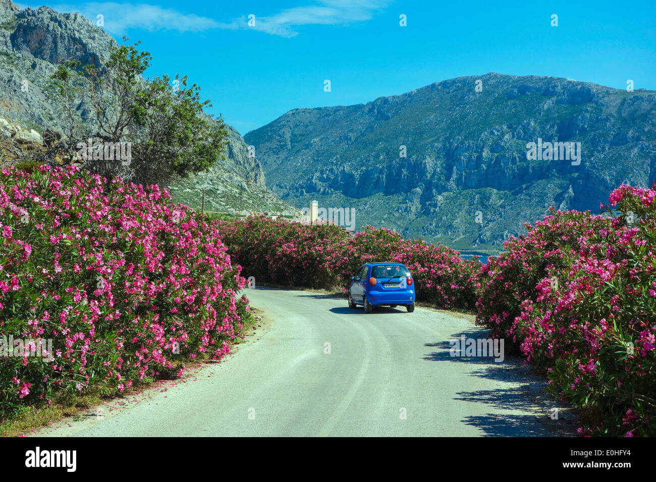 Kleines blaues Auto auf schmalen Straße gesäumt von Büschen und rote Blumen Stockfoto