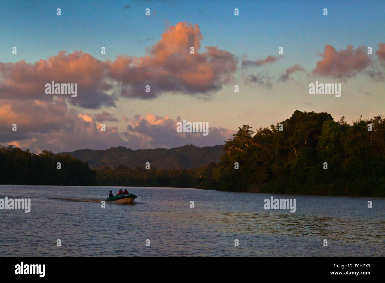 Touristen genießen Sie Safari mit dem Boot in der KINABATANGAN RIVER WILDLIFE SANCTUARY ist Heimat für viele Tierarten - BORNEO Stockfoto