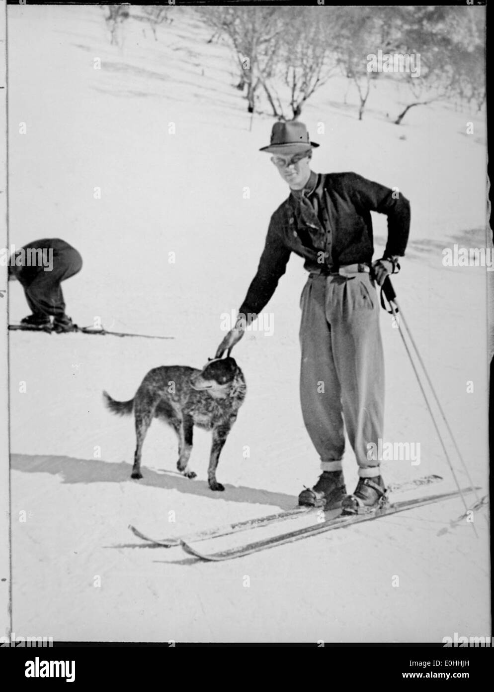 Mann auf Schnee Ski klopfte ein Hund, Snowy Mountains, New South Wales, ca. 1930. Stockfoto