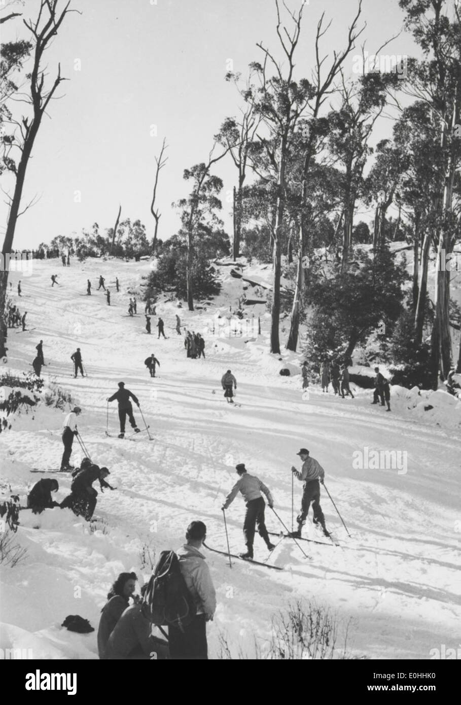 Abfahrt, Mount Donna Buang Reserve, Victoria, 1947 Stockfoto