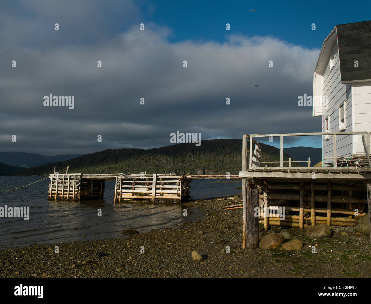 Stelzenhaus auf Küste, Norris Point, Neufundland und Labrador, Kanada Stockfoto