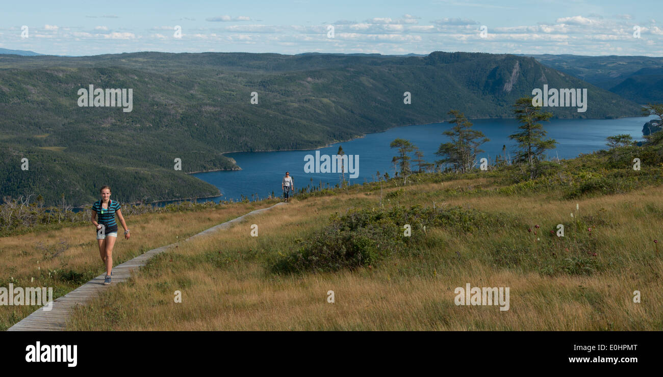Wanderer bei Lookout Trail, Lookout Hills, Bonne Bay, Gros Morne National Park, Neufundland und Labrador, Kanada Stockfoto