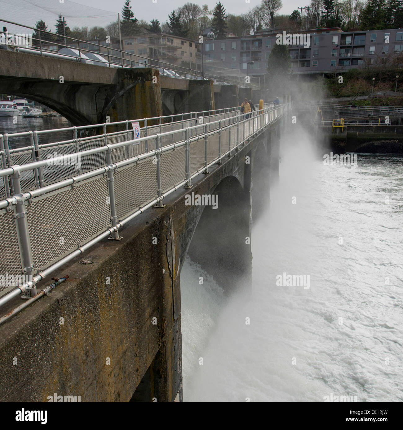 Hiram M. Chittenden Locks und Carl S. Englisch Jr. Botanischer Garten, Lake Washington Ship Canal, Seattle, Washington State, USA Stockfoto