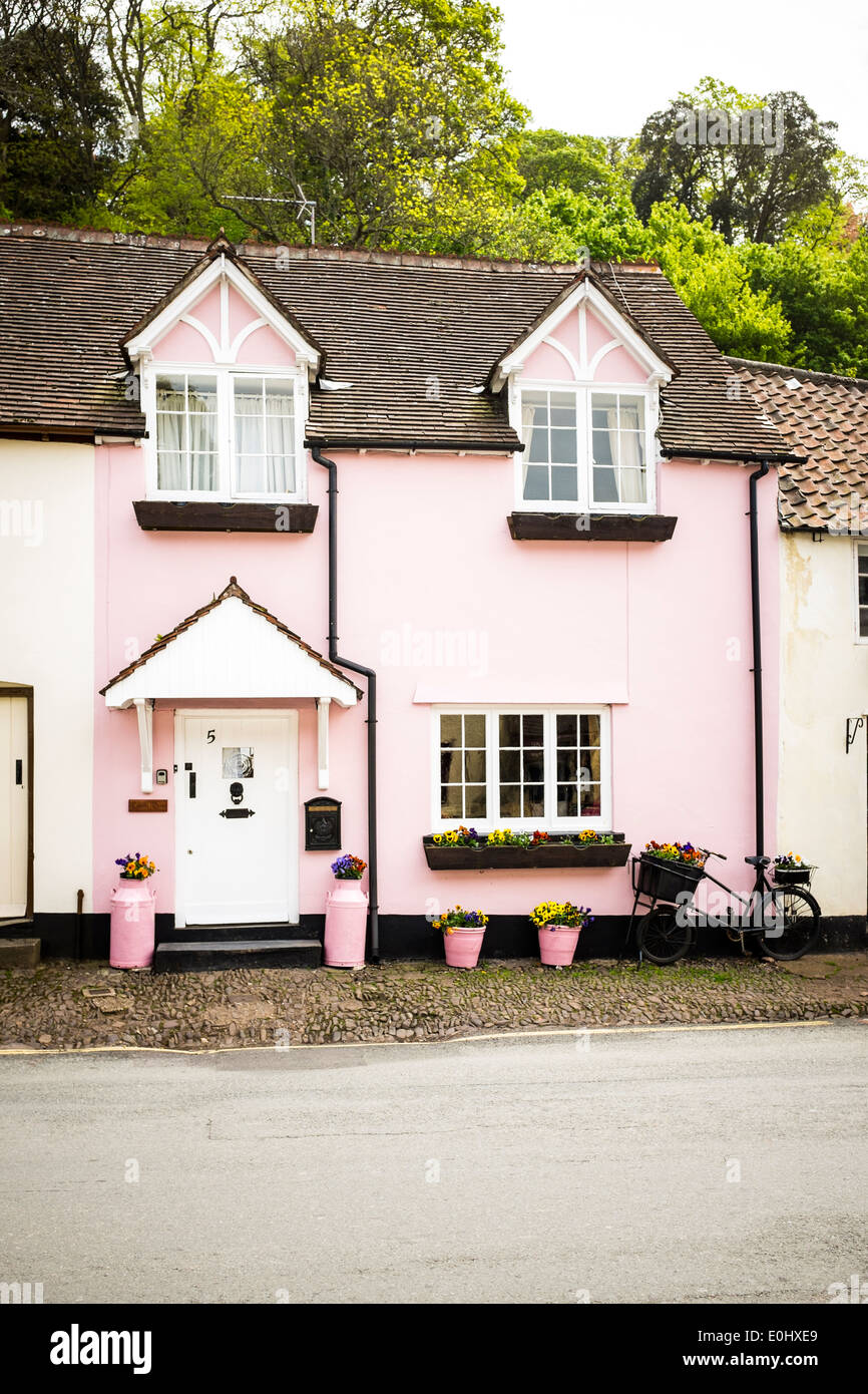 Eine rosa lackierte Ferienhaus Haus in dem malerischen Dorf Dunster, Devon, England Stockfoto