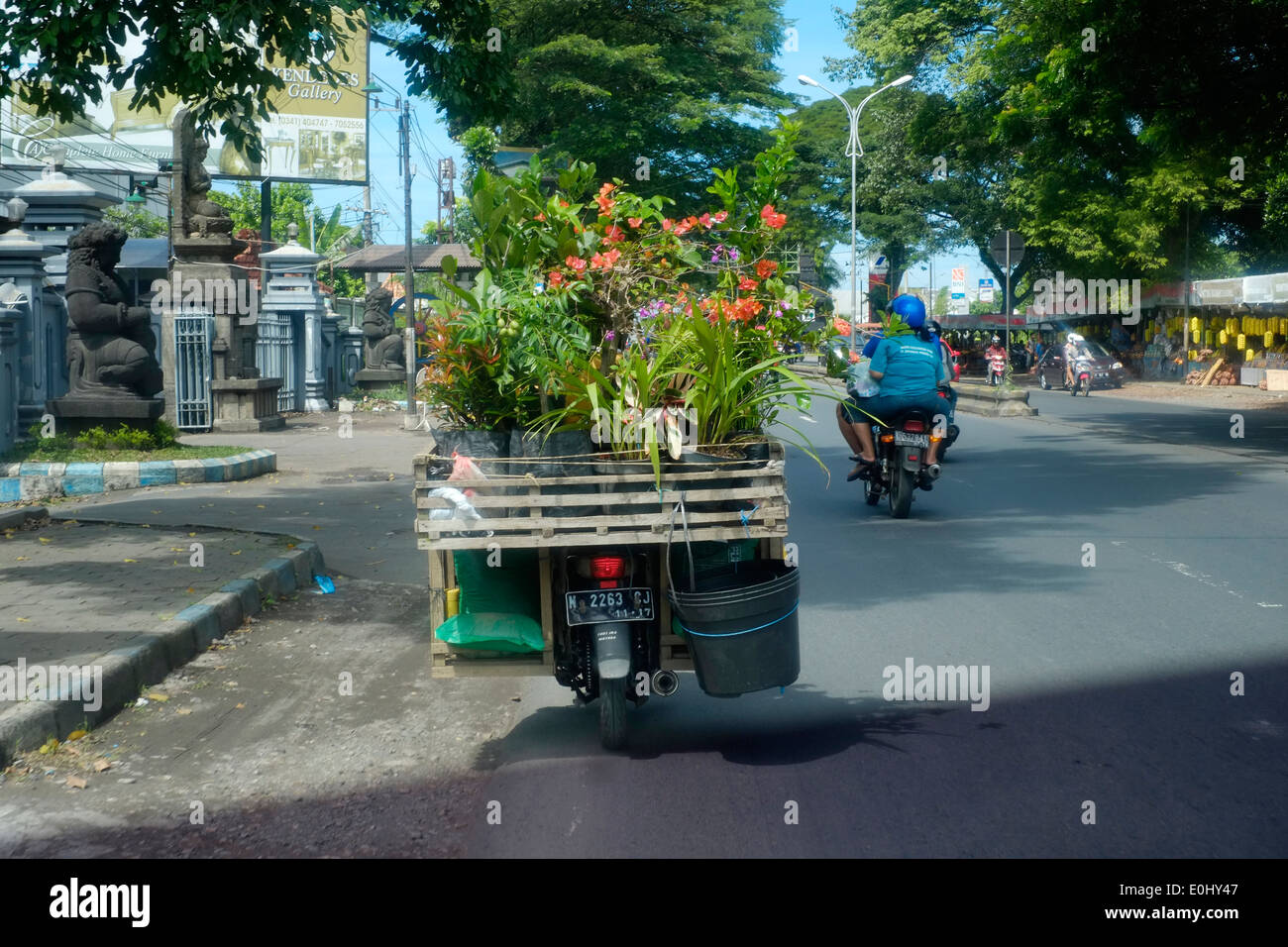 Motorrad-tragen einer prekären Last von Blumen und Sträuchern in Malang Ost Java Indonesien Stockfoto