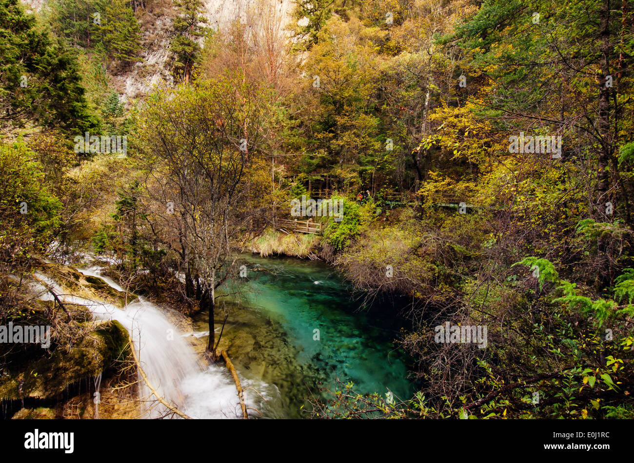 Bunten Wald in Jiuzhaigou Nationalpark, Sichuan China Stockfoto