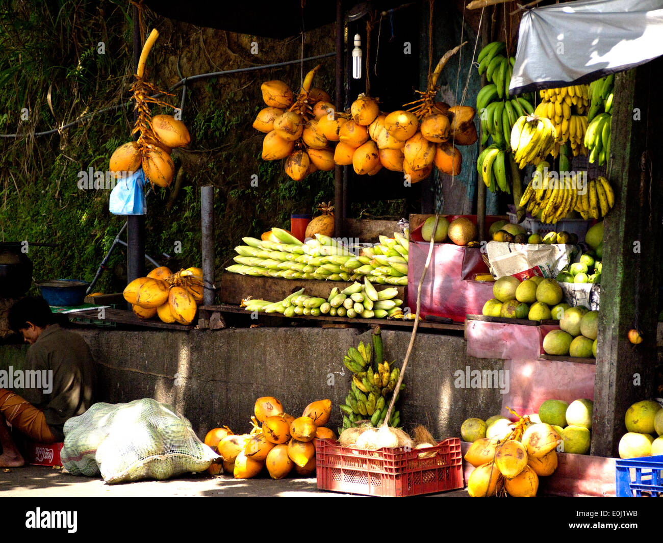 Obststand am Straßenrand in Sri Lanka Stockfoto