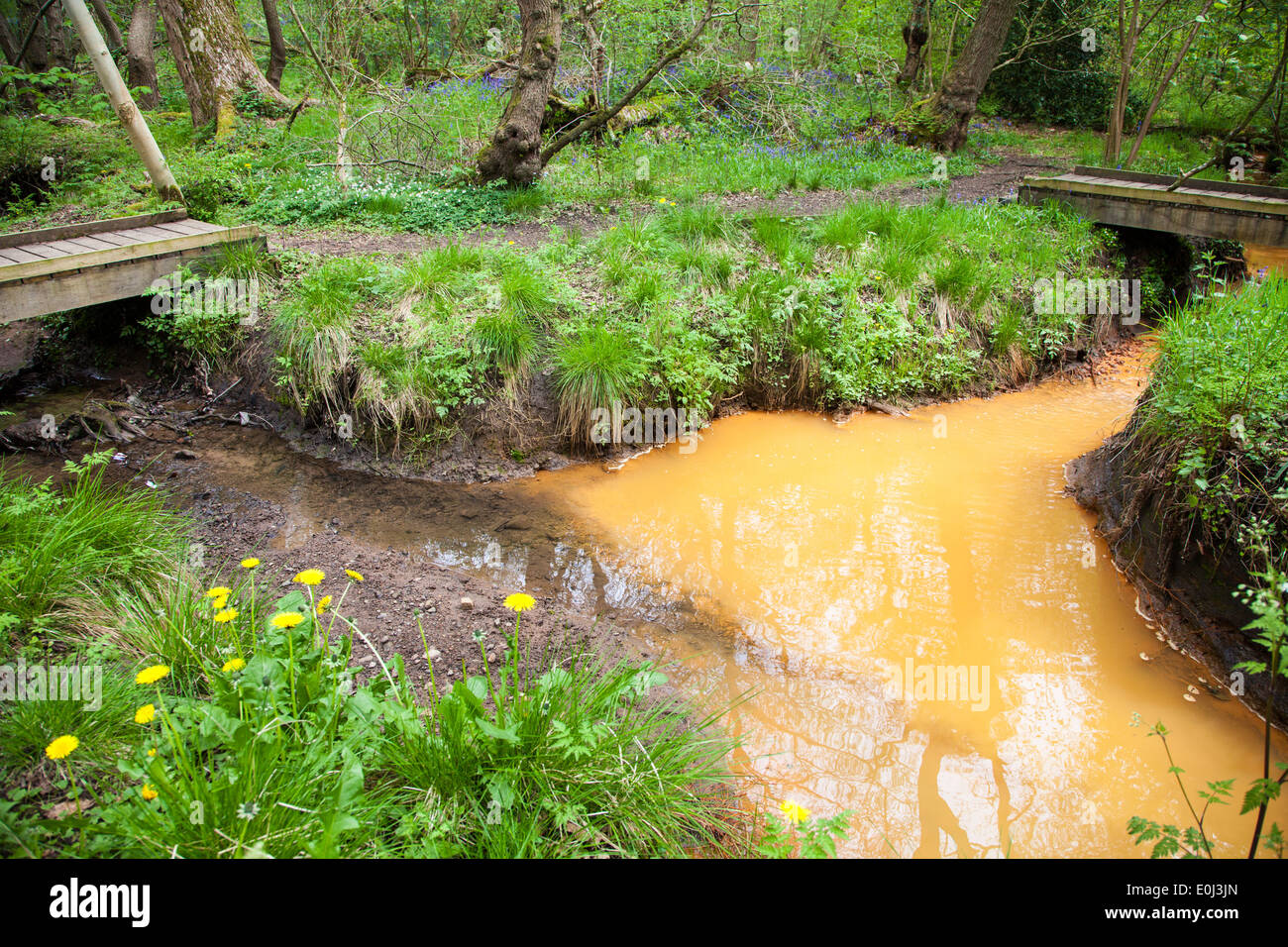 Orange Wasser Eisenoxid aus Schächte bei Parrots Drumble Nature Reserve Talke Gruben Stoke on Trent Staffordshire England UK Stockfoto