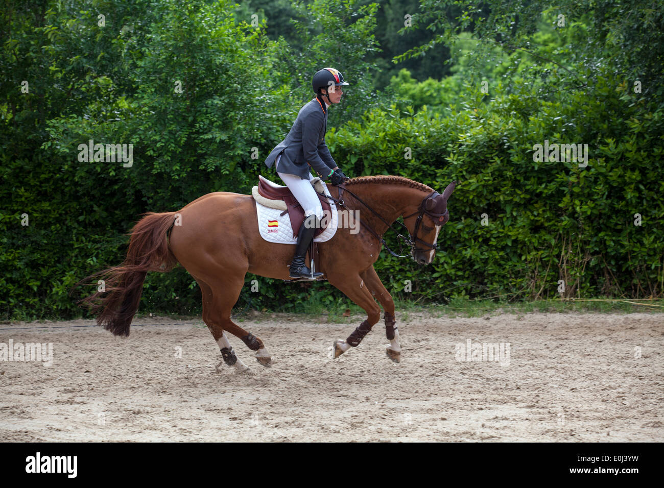 Pilar Cordon Spanien Ausübung ihres Pferdes Nuage Bleu vor Furusiyya FEI Nations Cup Springturnier in Rom, Stockfoto