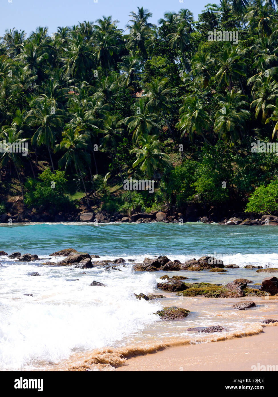 Schöne Landschaft am Strand in Sri Lanka Stockfoto