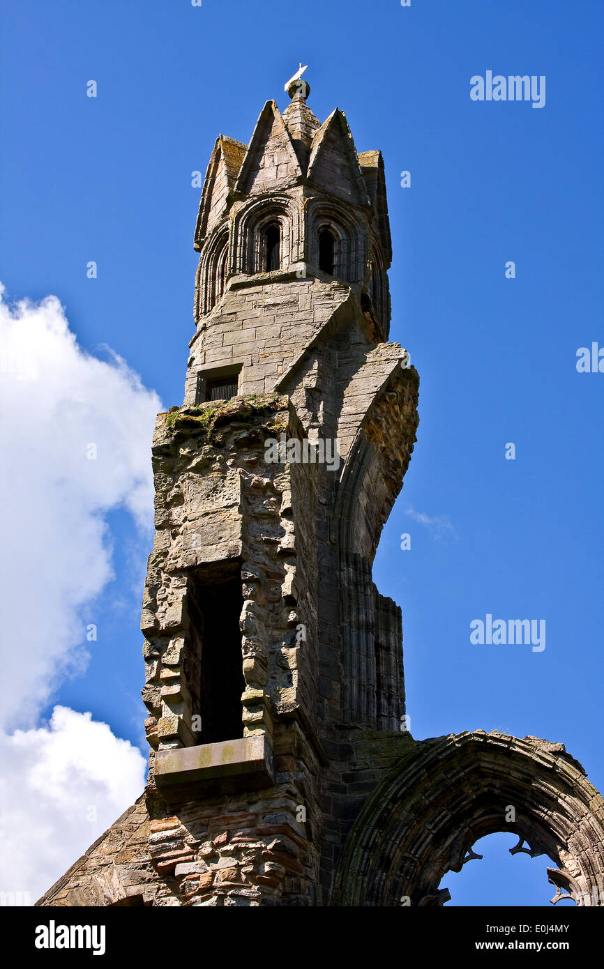 West End Wand Turm aus dem 12. Jahrhundert St. Andrews Cathedral in Fife, Schottland Stockfoto