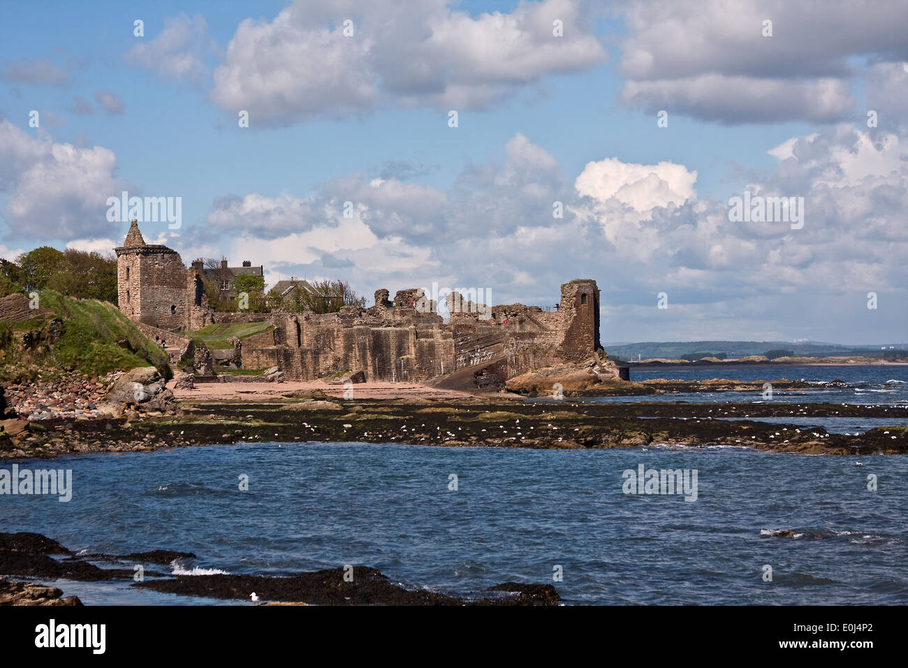 St Andrews Castle ist ein 12. Jahrhundert mittelalterliche Festung befindet sich auf einer Klippe im Norden der Stadt in Fife, UK Stockfoto