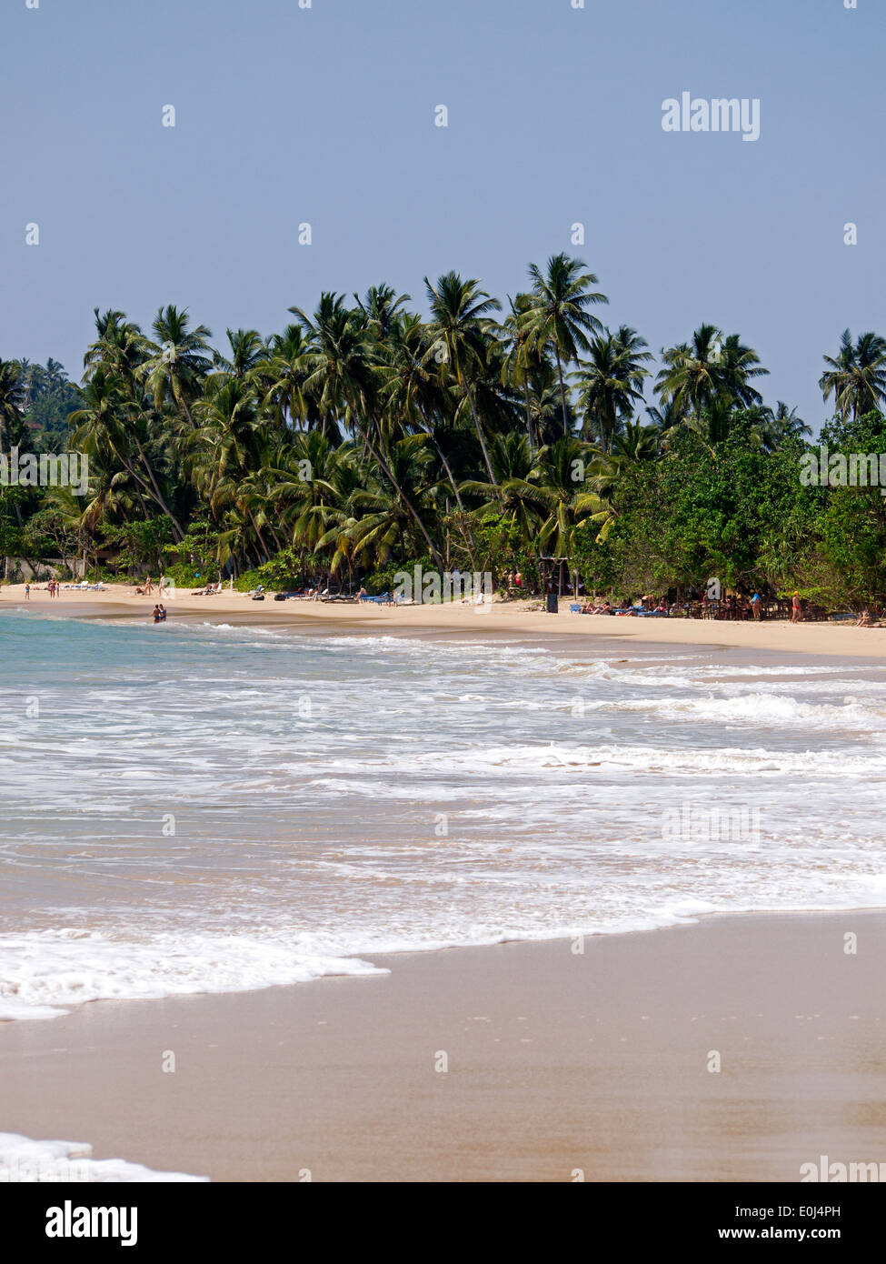 Schöne Landschaft am Strand in Sri Lanka Stockfoto