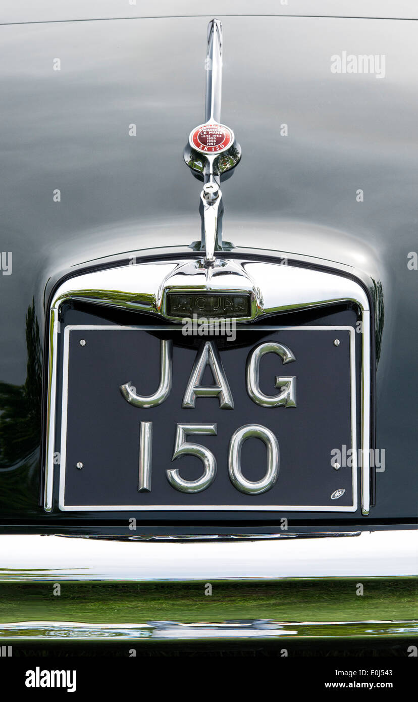 Jaguar XK 150. Hinteren Nummernschild Detail. Britische Oldtimer Stockfoto