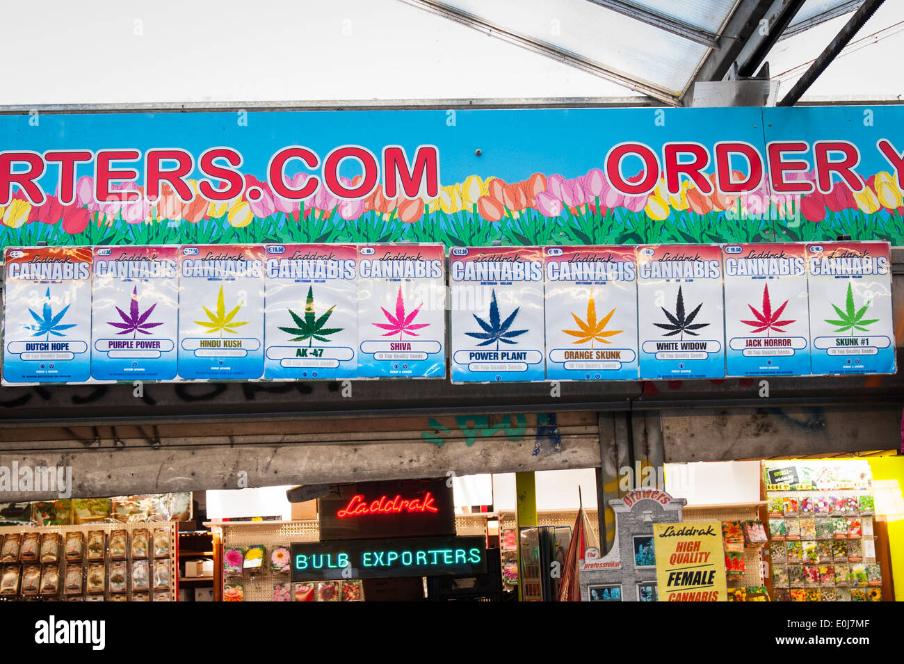 Holland, Niederlande, Amsterdam City, Blume Markt Shop Taschen von Cannabis Samen Hanfsorten holländischen Hoffnung lila Pulver Kush Stockfoto