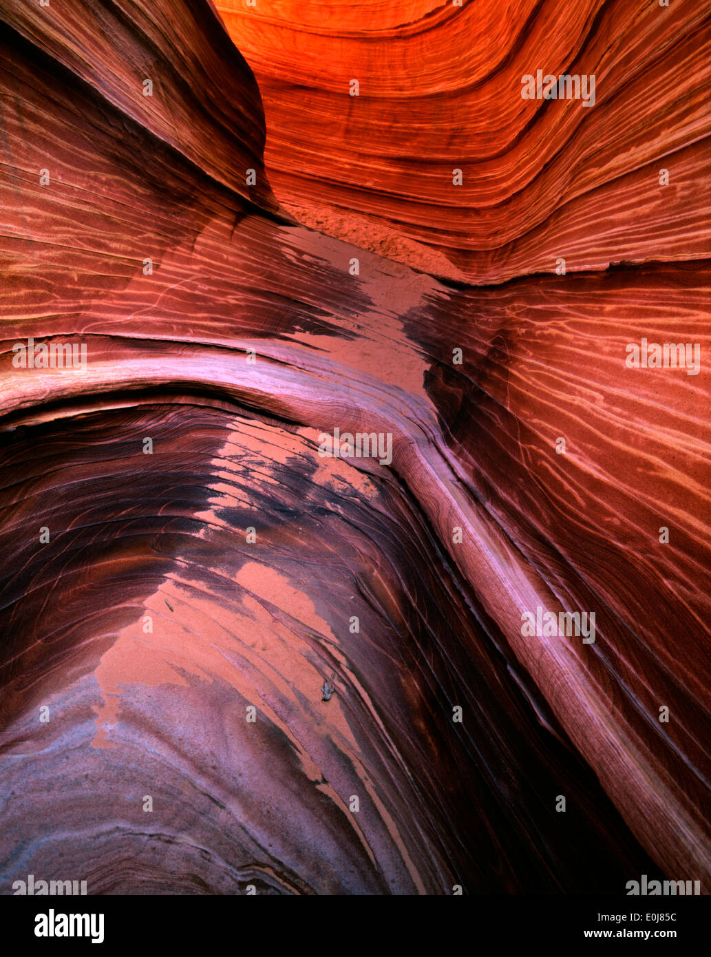 Sandstein-Alkoven im Coyote Buttes auf die Grenze zu Utah Arizona USA Stockfoto