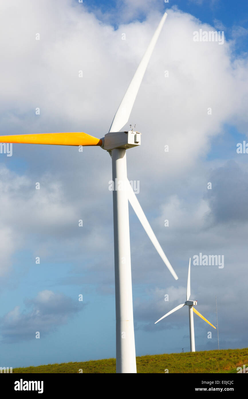 Windmühlen in North Kohala in der Nähe von Hawi auf Big Island, Hawaii Stockfoto