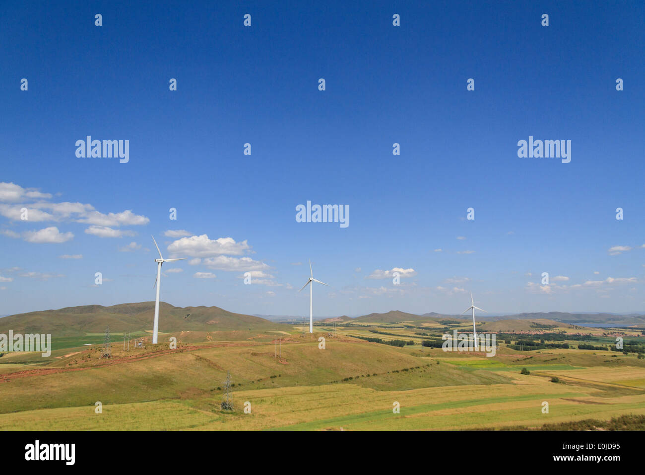 Windkraftanlagen stehen in der autonomen Region Innere Mongolei, China Stockfoto