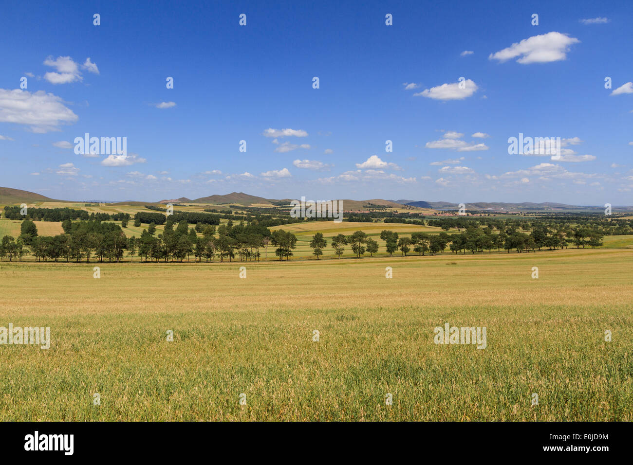 Ländliches Motiv in der Inneren Mongolei autonomen Region, China Stockfoto