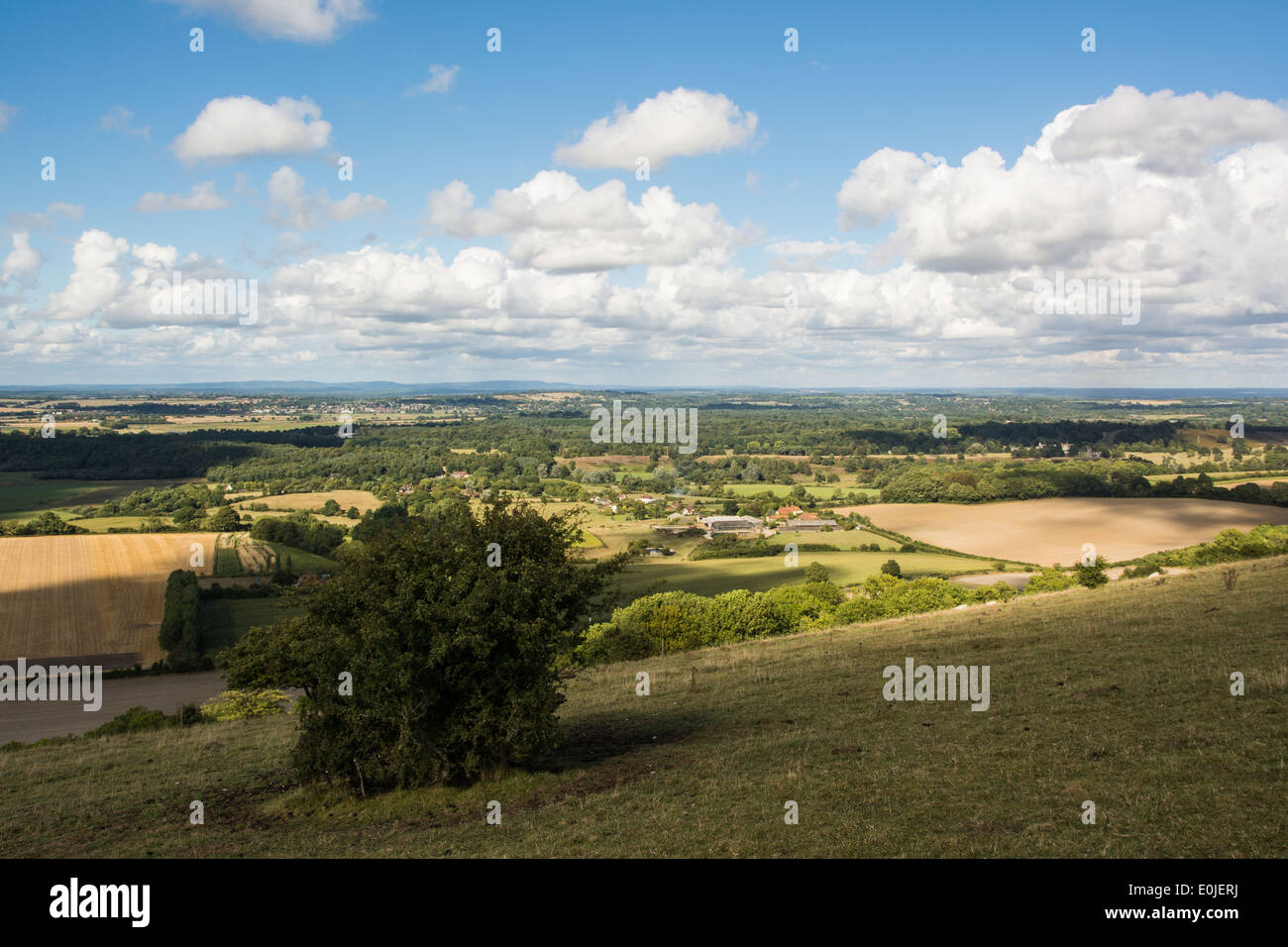 Blick auf die Sussex Weald von in der Nähe von Rackham Hill in den South Downs National Park in West Sussex. Stockfoto