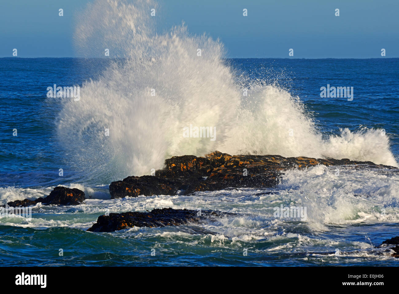 Stuermische sehen eine Höhle Felsen von Bird Island, Lamberts Bay, Western Cape, Westkap, Suedafrika, Afrika Stockfoto