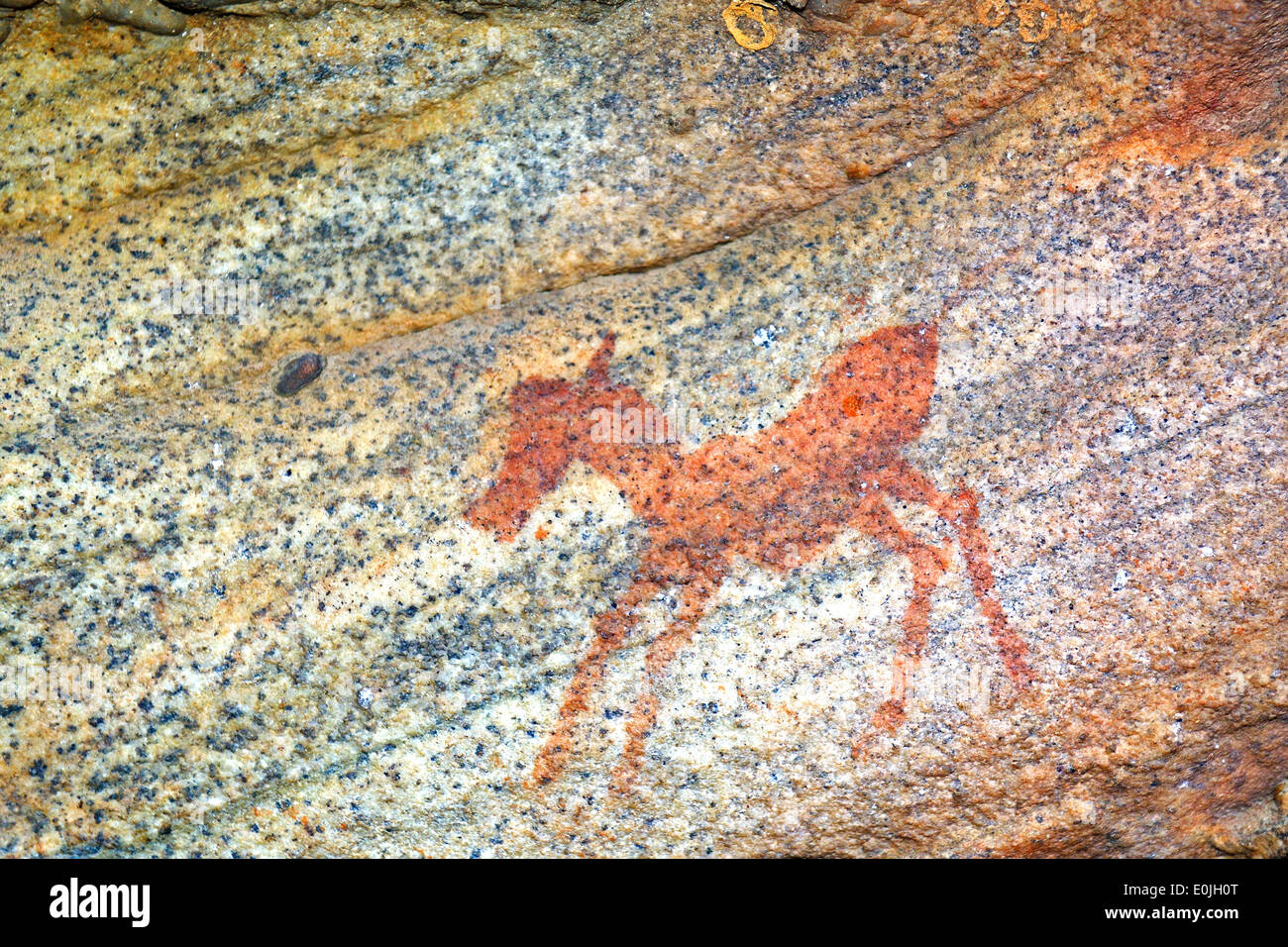 Alten Felszeichnungen der San, Ureinwohner Suedafrikas Sevilla Rock Art Trail, Cederberge Nahe Clanwilliam Und Wuppertal, Wester Stockfoto