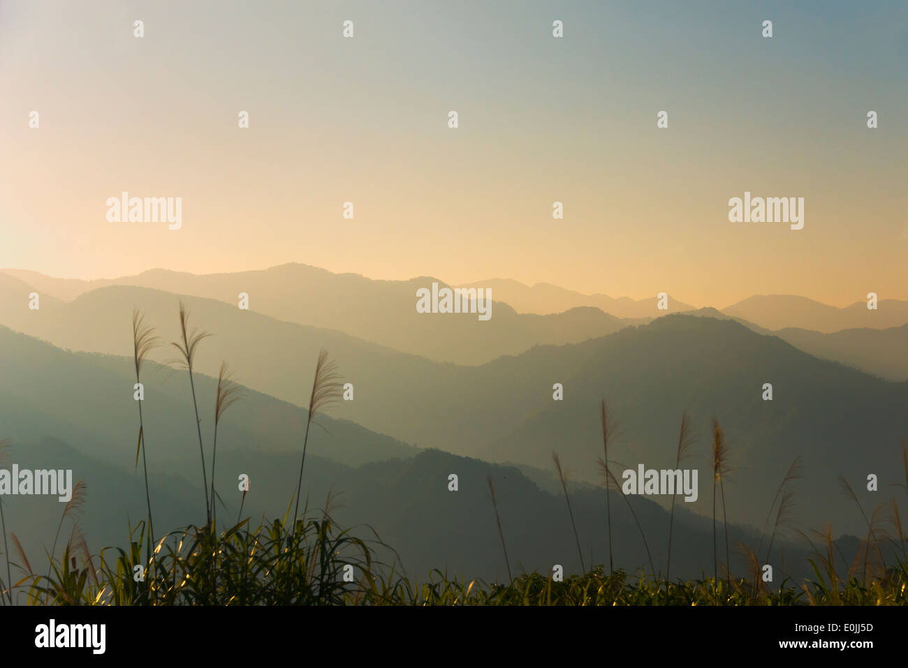 Landschaft des Alishan-Gebirges, Alishan National Scenic Area, Taiwan Stockfoto