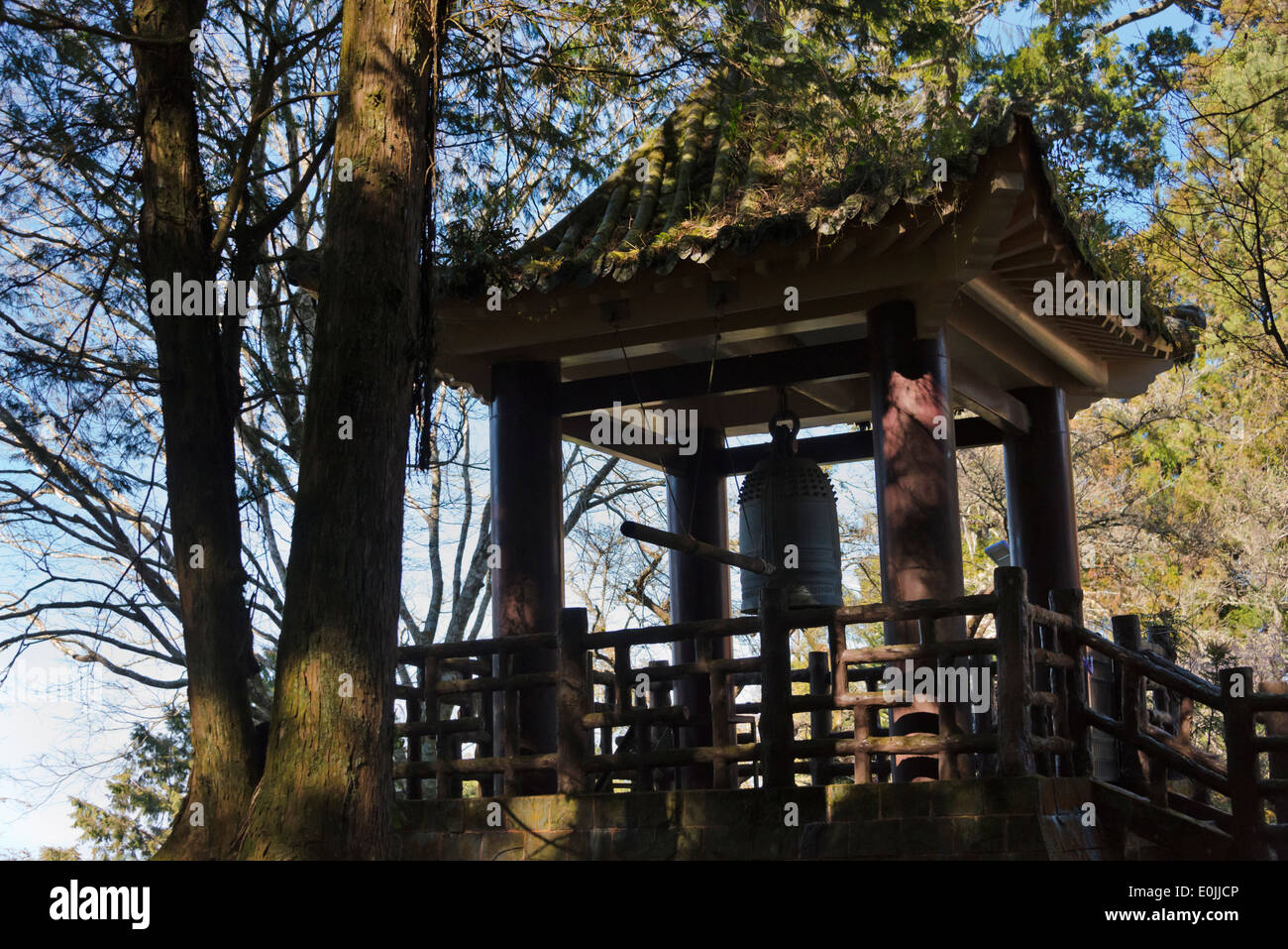 Pavillon und Bell in den Wald des taiwanesischen Red Zypressen (Chamaecyparis Formosensis), Alishan National Scenic Area, Taiwan Stockfoto