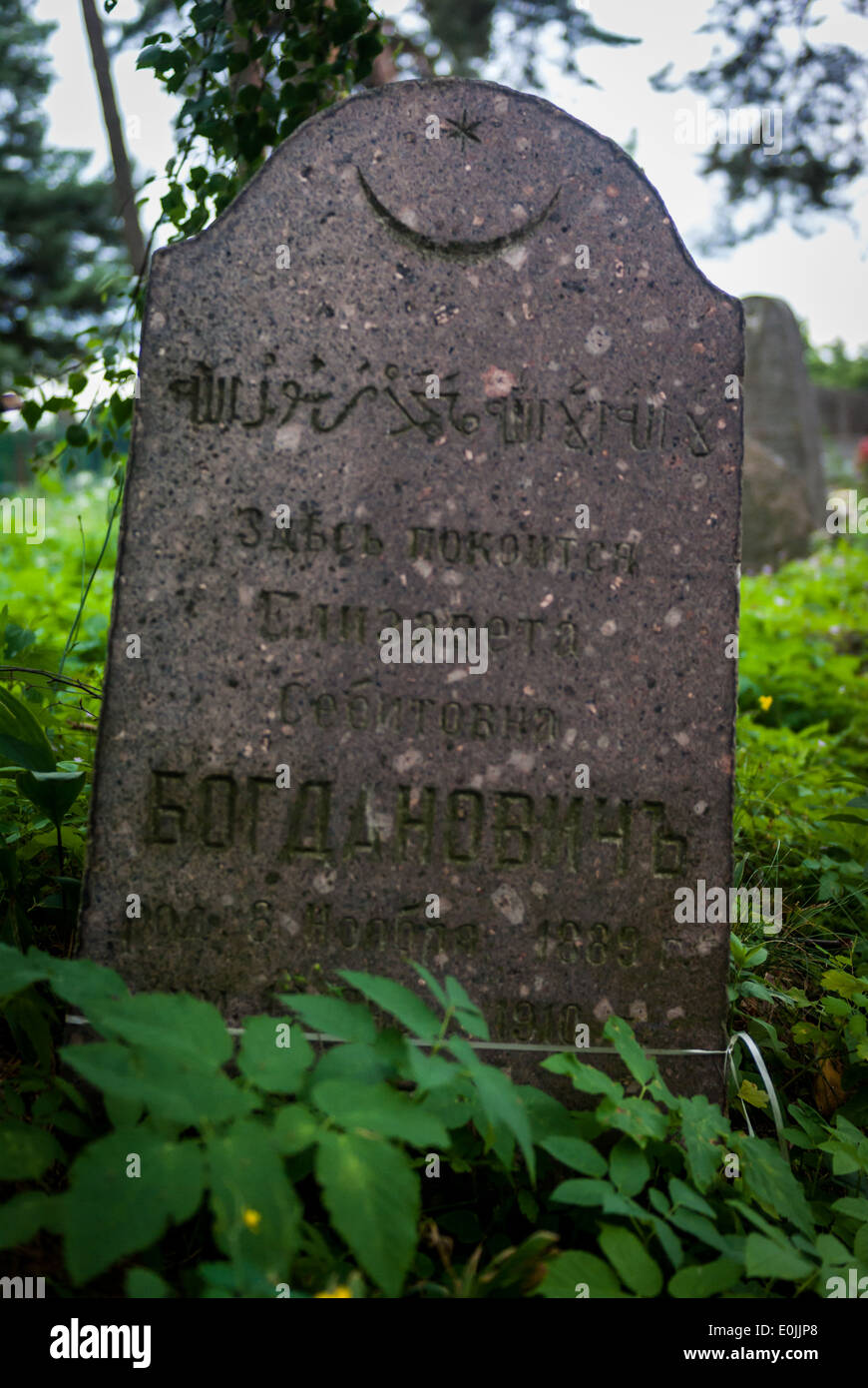 Alte Grabsteine, Tatar Friedhof Bohoniki, Podlachien, Ost-Polen Stockfoto