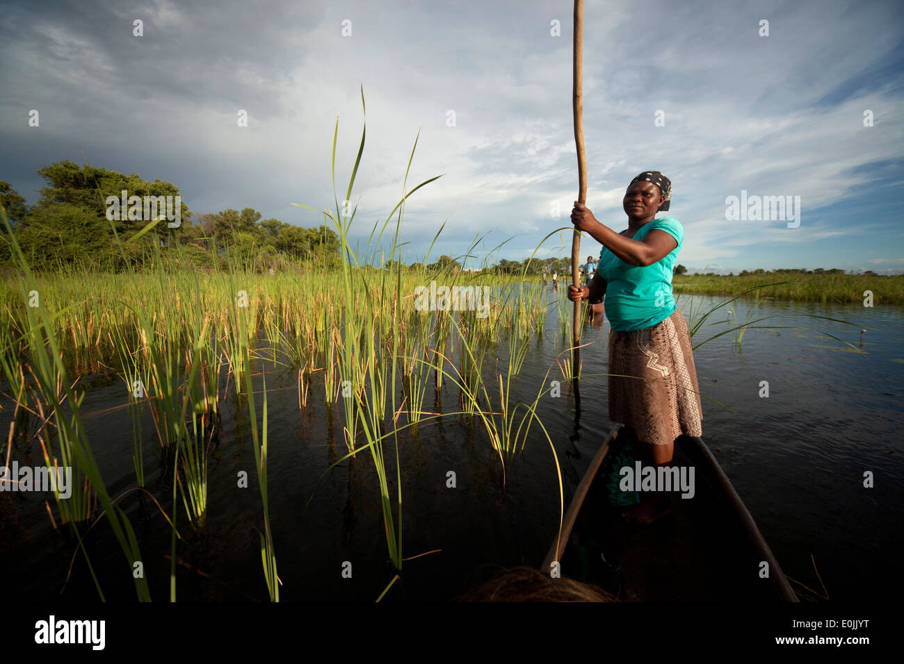 Okavango Delta, Botswana, Afrika Stockfoto