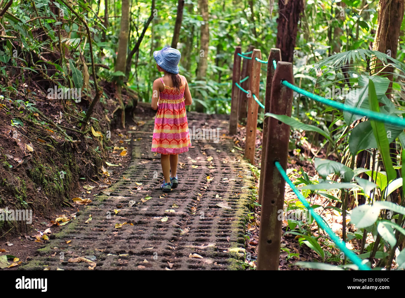 Ein kleines Mädchen findet in die Wunder der Arenal Hängebrücken in der Nähe von La Fortuna. Costa Rica Stockfoto